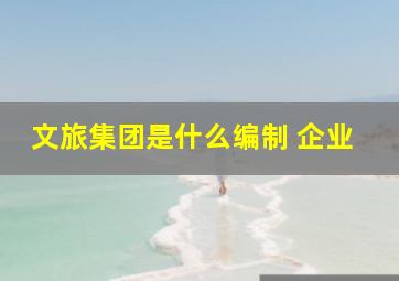 文旅集团是什么编制 企业